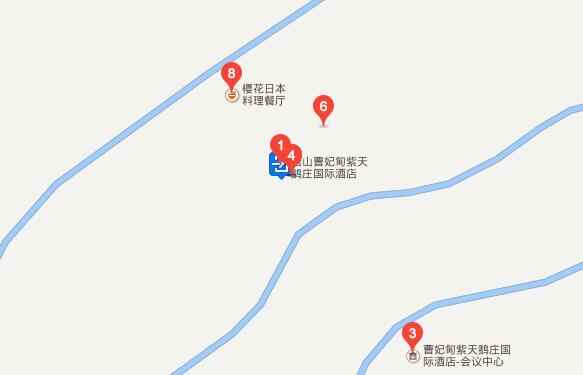 庞大集团自主品牌年中超级团购会