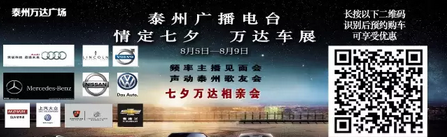 泰州车展