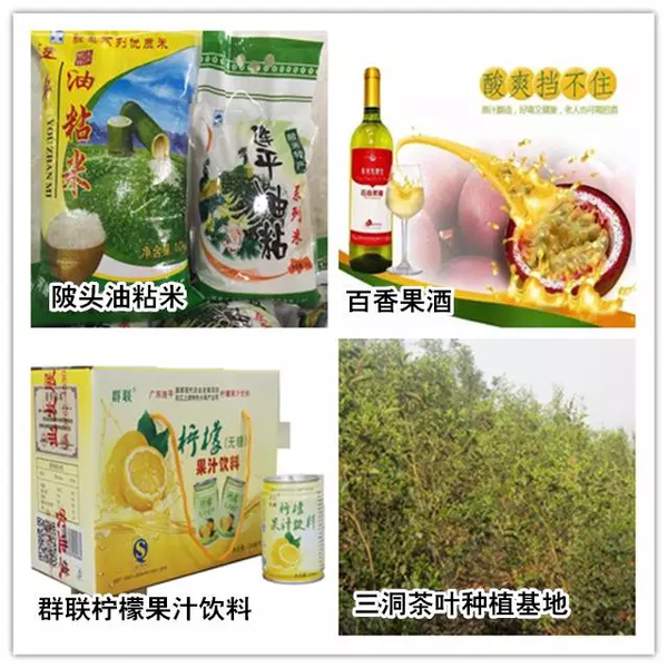 河源车展