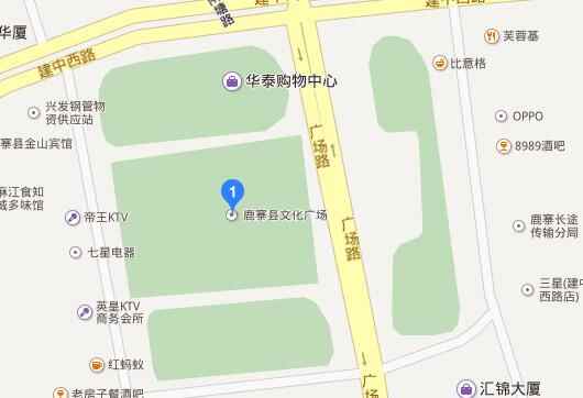 2016南国今报汽车巡展鹿寨站