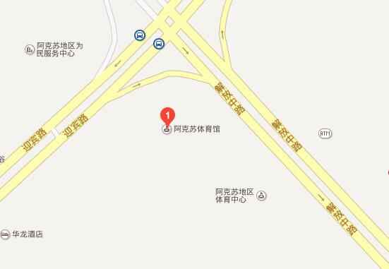 阿克苏车展