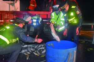 车主指南：货车高速爆胎两吨活鱼洒一地 救援人员通宵捡鱼