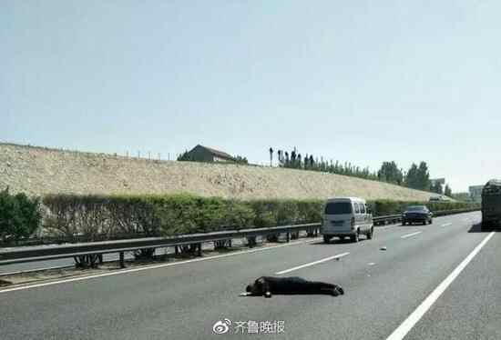 车主指南：男子高速车道上睡着 自称被人从车上扔下来(图)