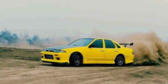tidam6g.jpg