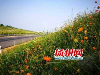 车主指南：宿扬高速扬州段采用生态植被毯工艺