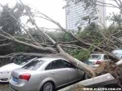 保险车损险是什么意思？车损险包括自然灾害吗